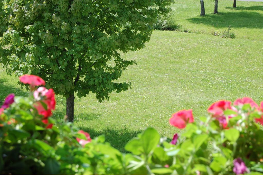 Penzion Belvia Нова-Лесна Экстерьер фото